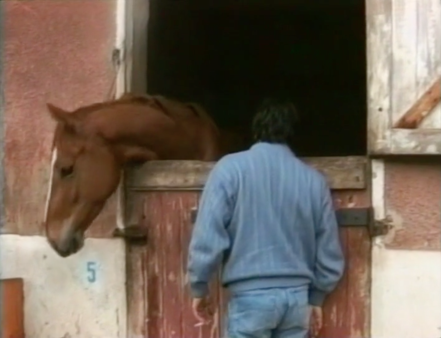 MON ROYAUME POUR UN CHEVAL