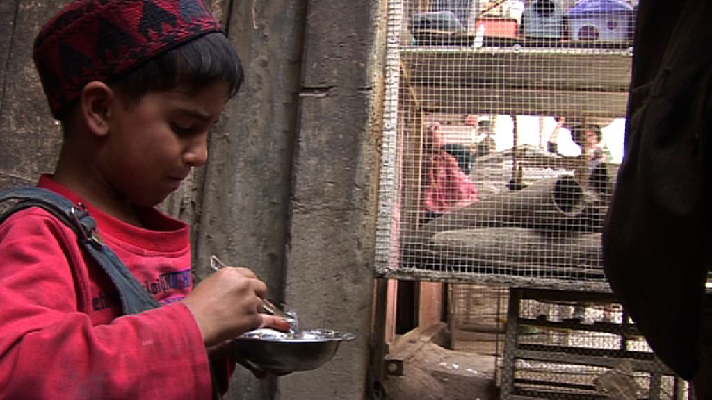 Les enfants de la rue aux oiseaux