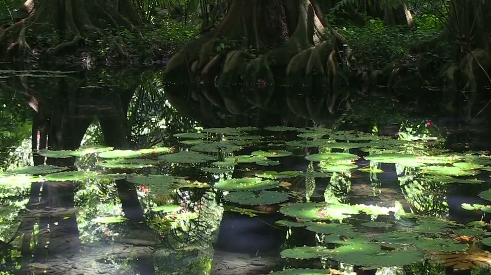 Mémoires d'eau